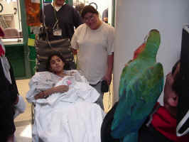 patient.jpg (55434 bytes)
